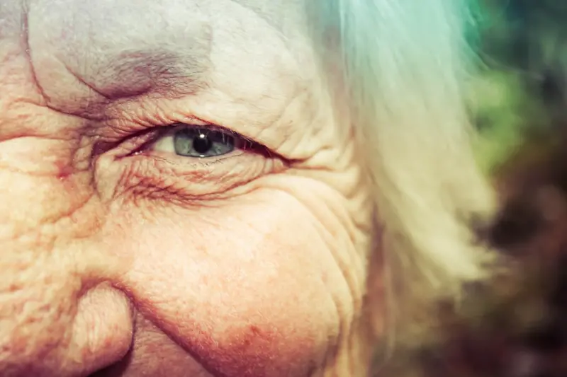 Breathing New Life into Aging Homes: A Sustainable Restoration Playbook