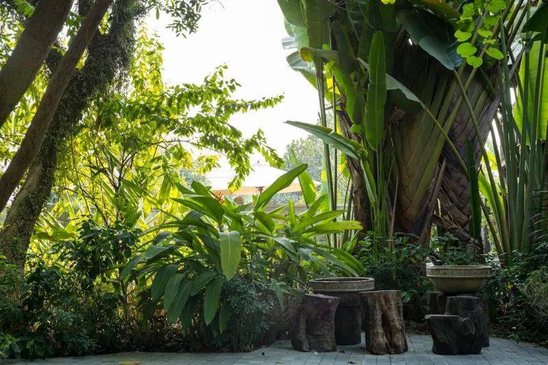 Creating a Year‑Round Outdoor Oasis: Sustainable Design Tips for Every Season