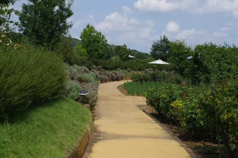 Scented Pathways: Transforming Your Walkway into a Year‑Round Aromatic Journey