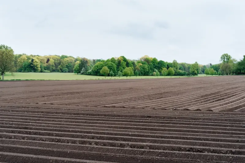 Cultivating Climate‑Smart Landscapes: Data, Design, and Delight