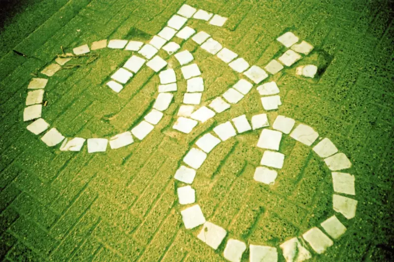 Designing Sustainable Paving: From Permeable Paths to Smart Surfaces