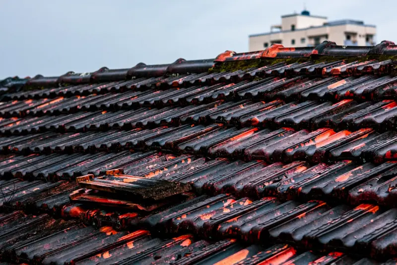 Why Your Roof Is the Secret Weapon for Boosting Home Value
