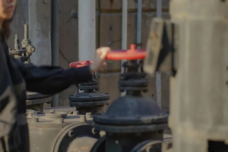 Energy Inspection as a Competitive Advantage: Turning Data into Dollars