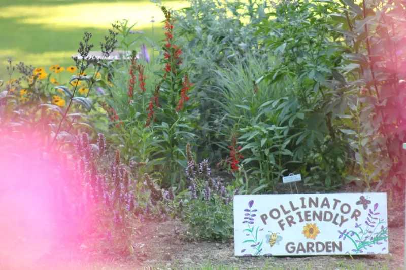 Designing a Pollinator‑Friendly Landscape That Thrives Year‑Round