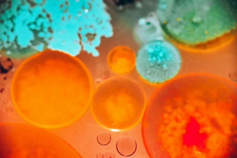 Beyond the Spot: A Scientific Approach to Mold Removal