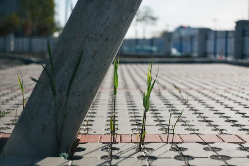 Concrete’s Second Act: Green, Resilient, and Ready for Tomorrow