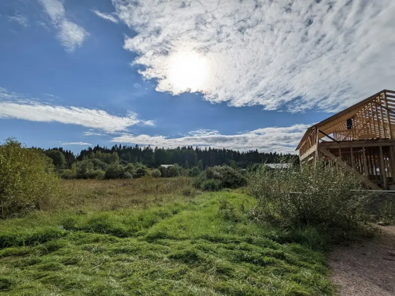 Bringing the Outdoors In: Biophilic Home Construction for Modern Living