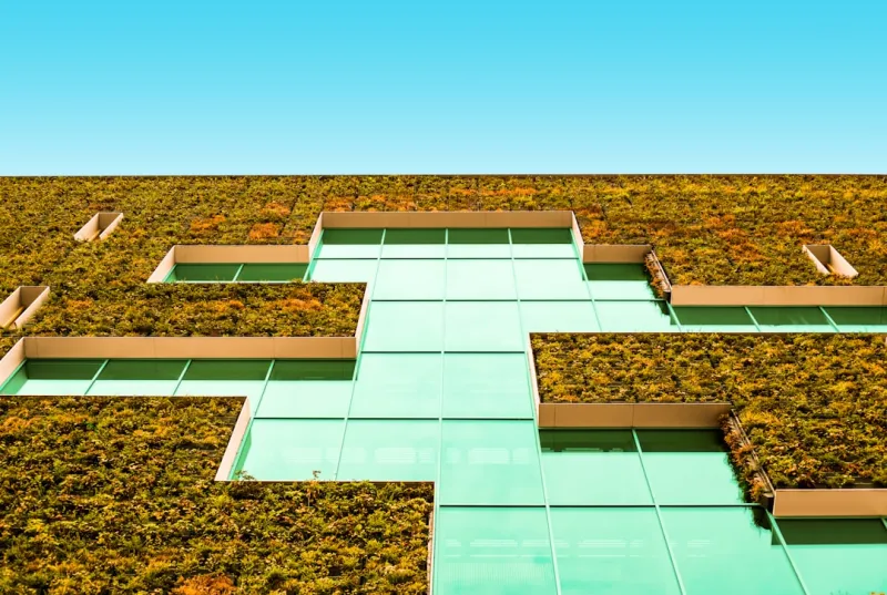 The Evolution of Tiling: How Sustainable Solutions Are Revolutionizing the Industry The Evolution of Tiling: How Sustainable Solutions Are Revolutionizing the Industry
