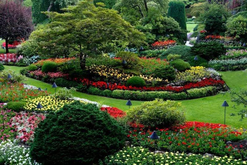 The Hidden Power of Soil Microbiomes: A New Era for Lush Lawns