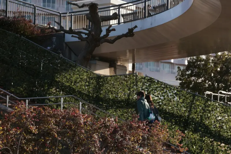 Bringing the Outdoors In: How Biophilic Design is Transforming Modern Homes