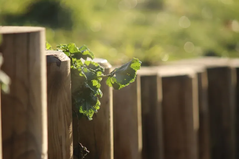 Eco-Friendly Fencing: A Sustainable Approach to Home Security and Aesthetics