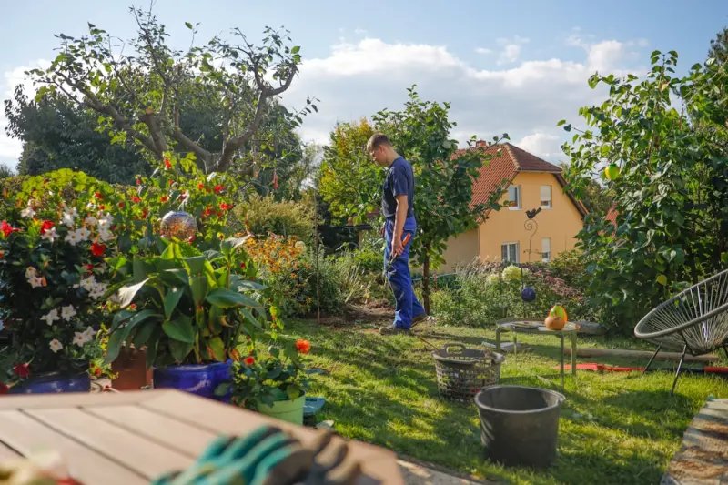 Cultivating a Four-Season Backyard Oasis: Design Tips for Year‑Round Joy