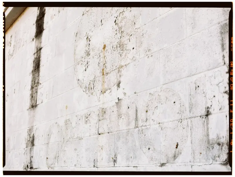 Mold Removal Reinvented: IoT‑Driven Proactive Strategies