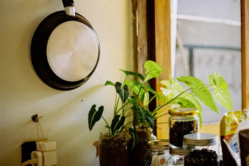 Sustainable Home Hacks: Practical Tips for a Greener, Healthier House Sustainable Home Hacks: Practical Tips for a Greener, Healthier House