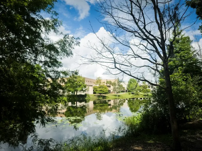 How Corporate Campuses Can Turn Tree Care Into a Competitive Edge - Contractors Directory