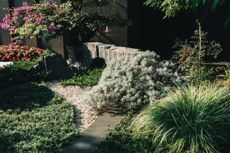 Designing Climate‑Smart Landscapes: Turning Outdoor Spaces into Energy‑Saving Assets