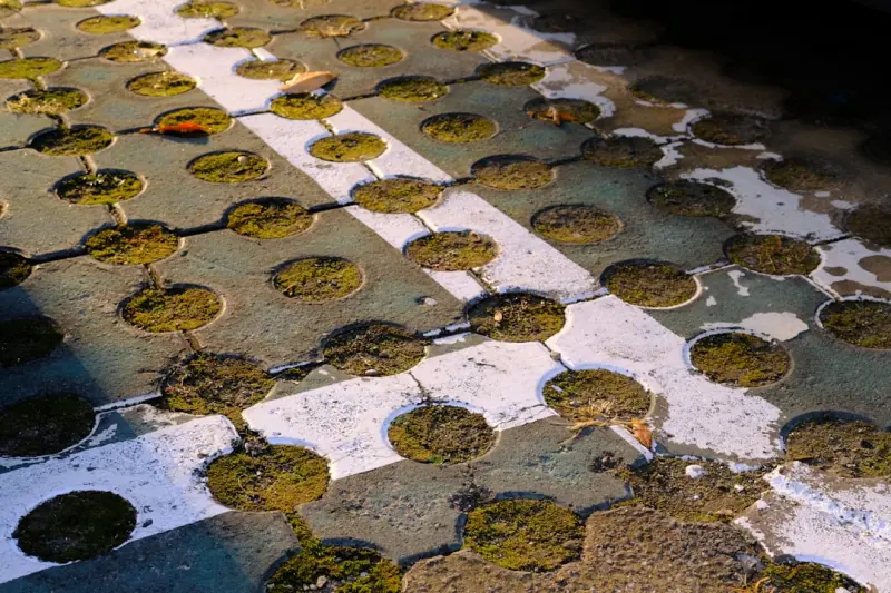 Sustainable Permeable Pavement: A Practical Guide for Resilient Sites