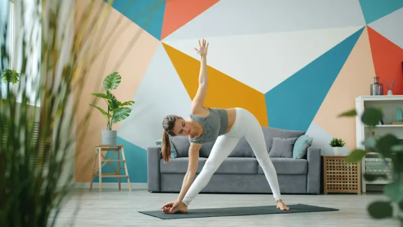 Designing Smart Sunrooms: A Blueprint for Health, Efficiency, and Innovation