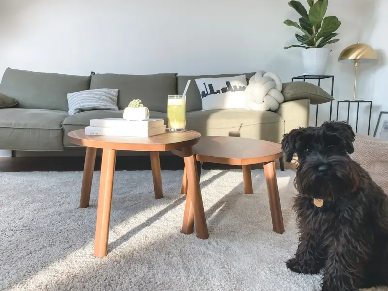 Eco‑Friendly Carpet Cleaning: DIY Solutions That Actually Work