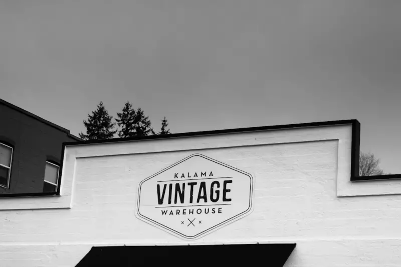 Breathing New Life Into Vintage Furniture: A Craftsperson’s Roadmap