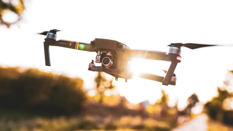 The Future of Tree Care: Data, Drones, and Decentralized Stewardship
