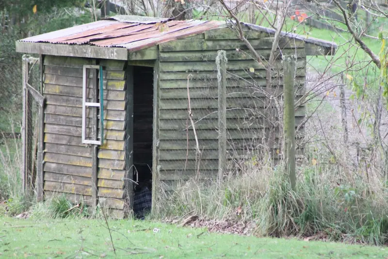 Unlocking the Hidden Potential of Sheds & Gazebos: A Hands‑On Guide