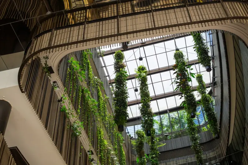 Design‑Build Meets Biophilic Architecture: A Data‑Driven Playbook for Modern Workspaces