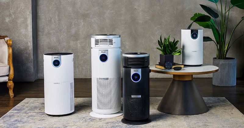 You’ll Want an Air Purifier This Cold and Flu Season: A Proactive Approach to Indoor Air Quality