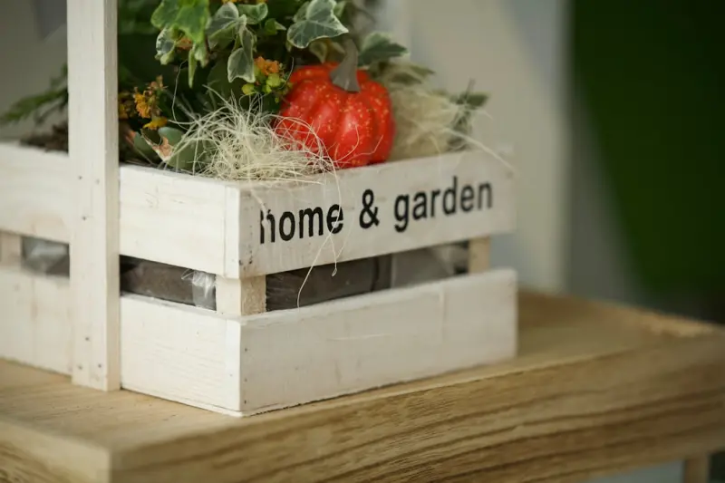 Biophilic Blueprint: Transform Your Home with Nature