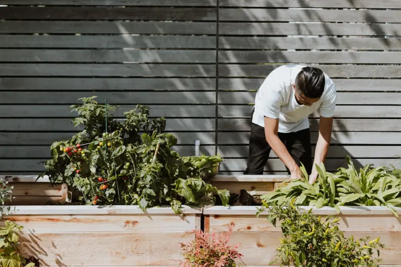 Cultivating Backyard Microclimates: A Hands‑On Guide to Year‑Round Harvest