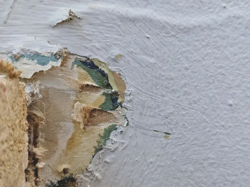 Mold Removal Mastery: Turning a Hidden Threat into a Home Wellness Habit