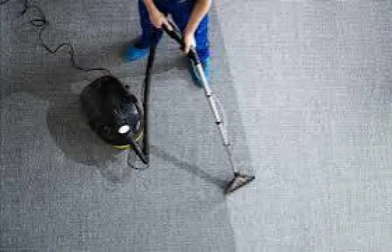 The Secret Science Behind Spot‑Free Carpets: A Homeowner’s Guide