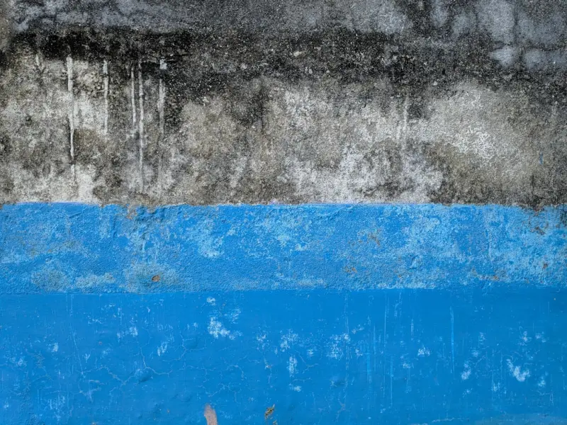 Waterproofing as Climate Resilience: Turning Moisture Management Into a Strategic Advantage