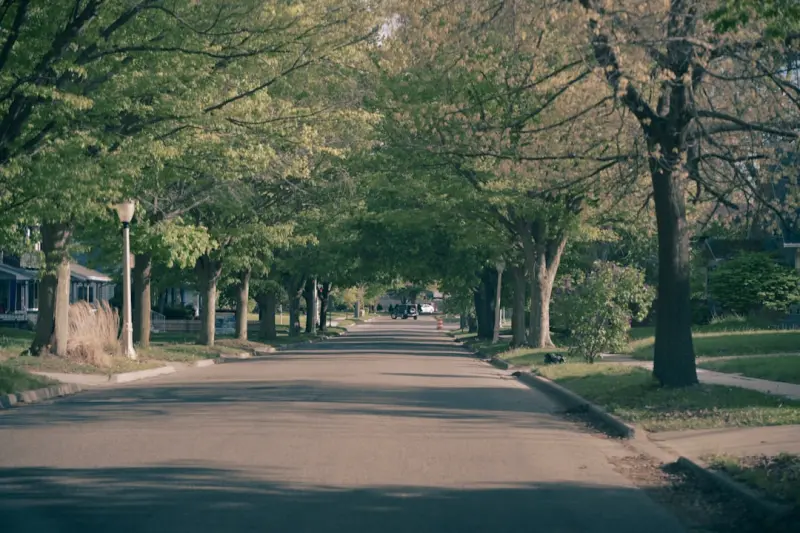 Cultivating Resilient Urban Canopies: A Hands‑On Guide to Tree Stewardship