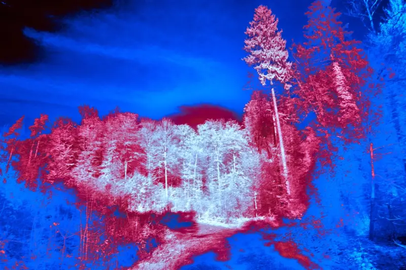 Seeing Beyond the Surface: How Thermal Imaging Transforms Home Inspections