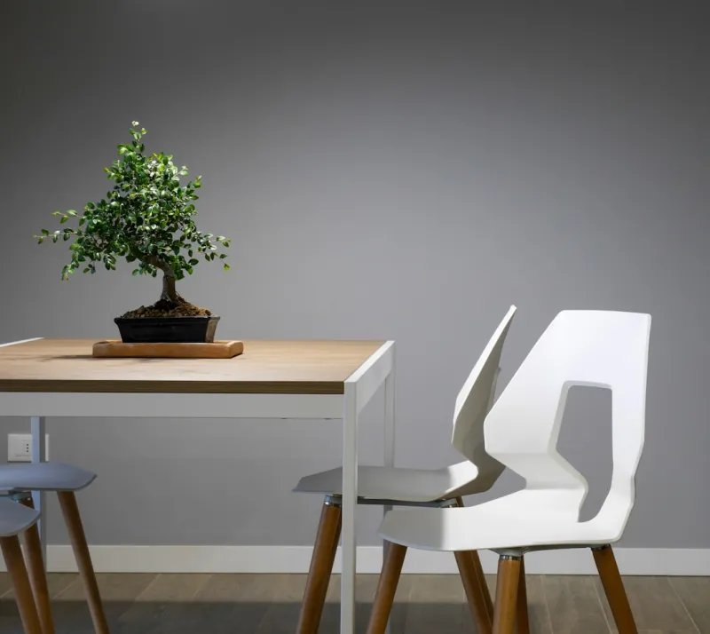 Sustainable Flooring: A Key Component of Eco-Friendly Home Design Sustainable Flooring: A Key Component of Eco-Friendly Home Design
