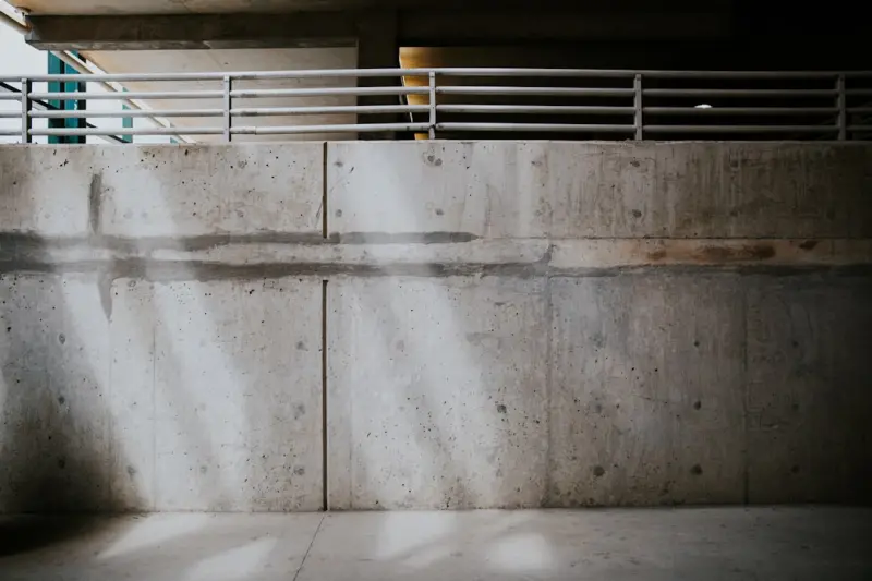 Turning Concrete into Calm: Biophilic Strategies for Commercial Renovations