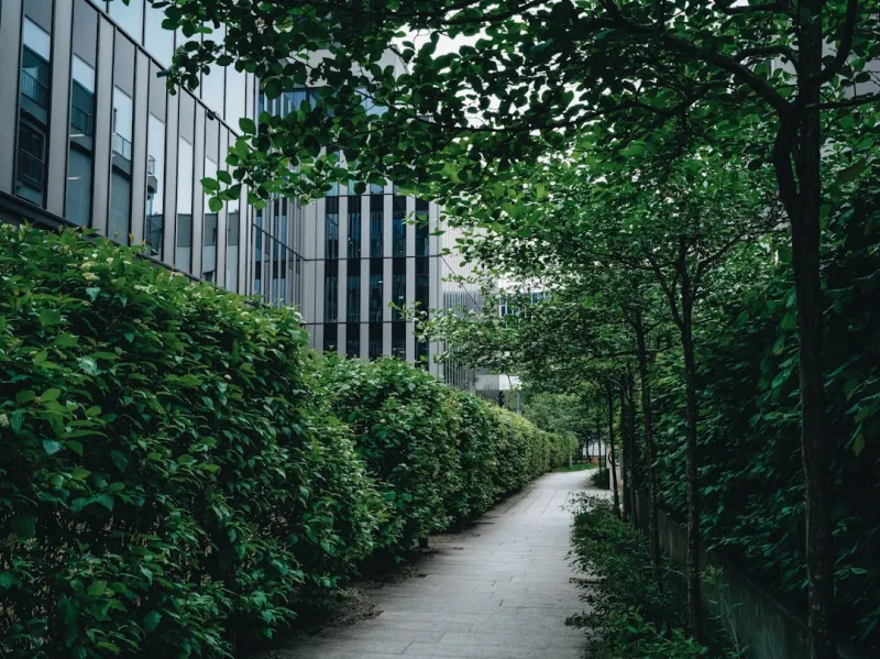 The Benefits of Sustainable Landscaping: A Path to Environmental Stewardship The Benefits of Sustainable Landscaping: A Path to Environmental Stewardship