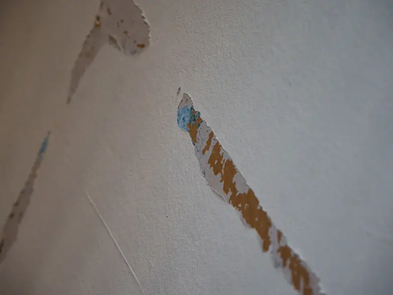 Elevating Business Interiors with High‑Performance Drywall