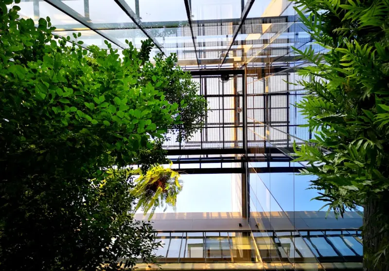 Bringing Nature Inside: How Biophilic Commercial Renovations Drive Business Success