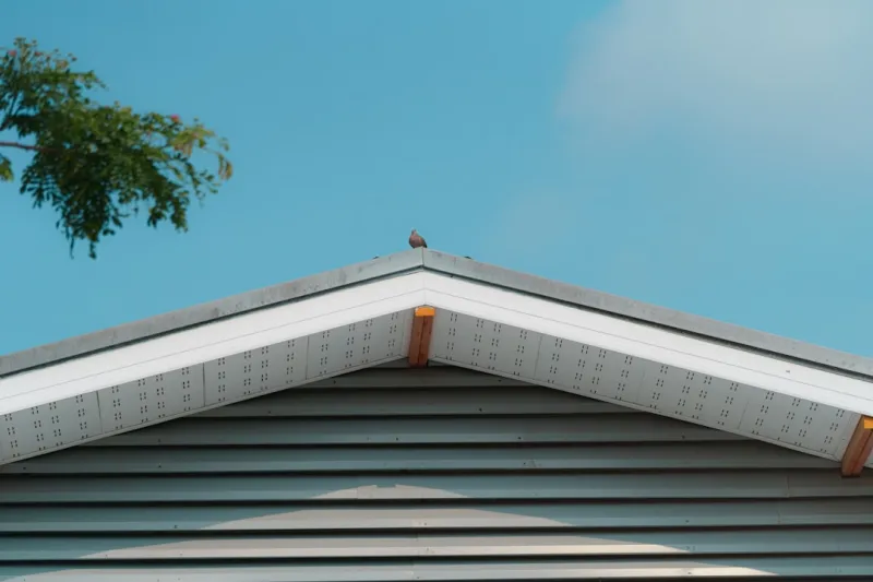 The Sustainable Homeowner’s Guide to Gutter Mastery