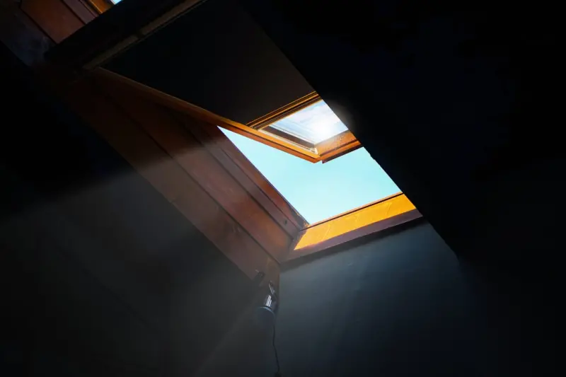 Transforming Light: The Latest Window Treatment Trends for a Sustainable Home Transforming Light: The Latest Window Treatment Trends for a Sustainable Home