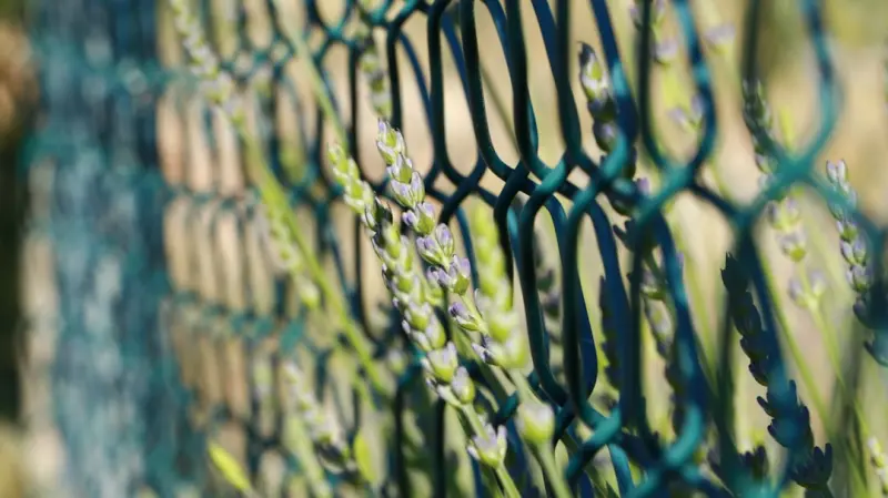 Smart Fencing: Merging Design, Sustainability, and IoT for the Modern Home Smart Fencing: Merging Design, Sustainability, and IoT for the Modern Home