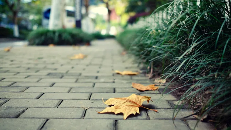Green Paving: Building Sustainable Driveways and Walkways for the Modern Home