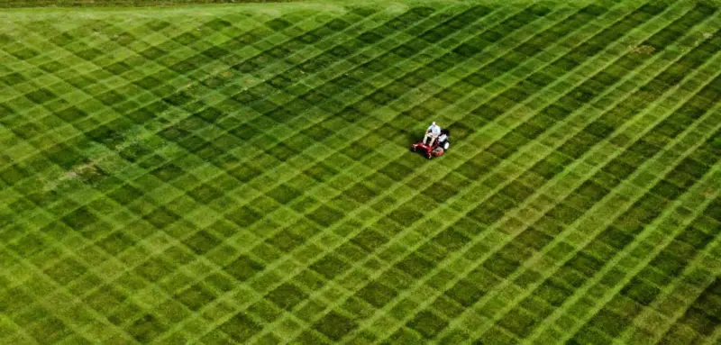 Cultivating a High‑Impact Lawn: Science, Tech, and Business Benefits