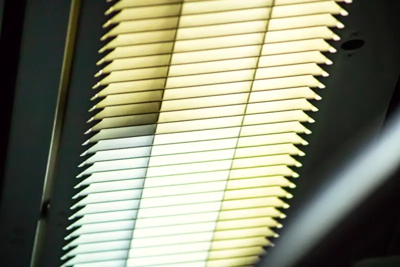 Tunable Window Treatments: Turning Light Into a Strategic Asset