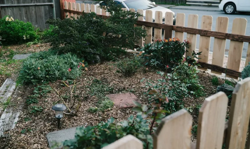 Transforming My Backyard: A Sustainable Landscaping Journey Transforming My Backyard: A Sustainable Landscaping Journey