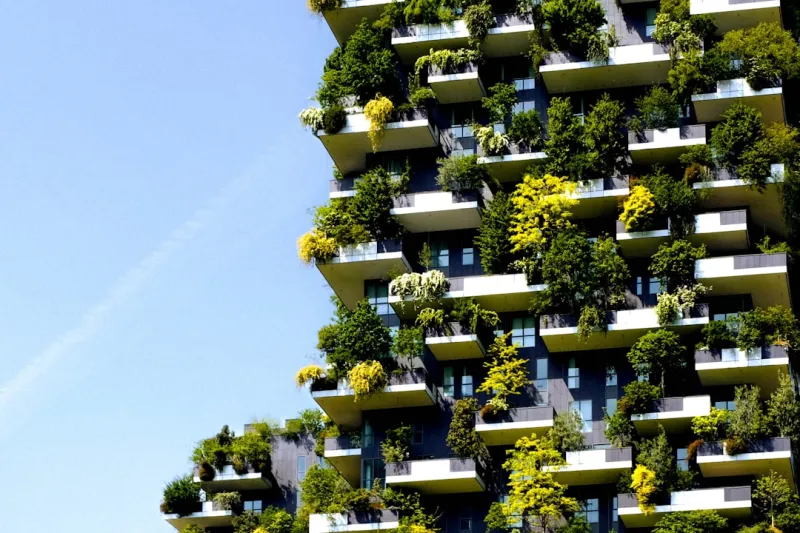 The Future of Design Build: A Sustainable Perspective