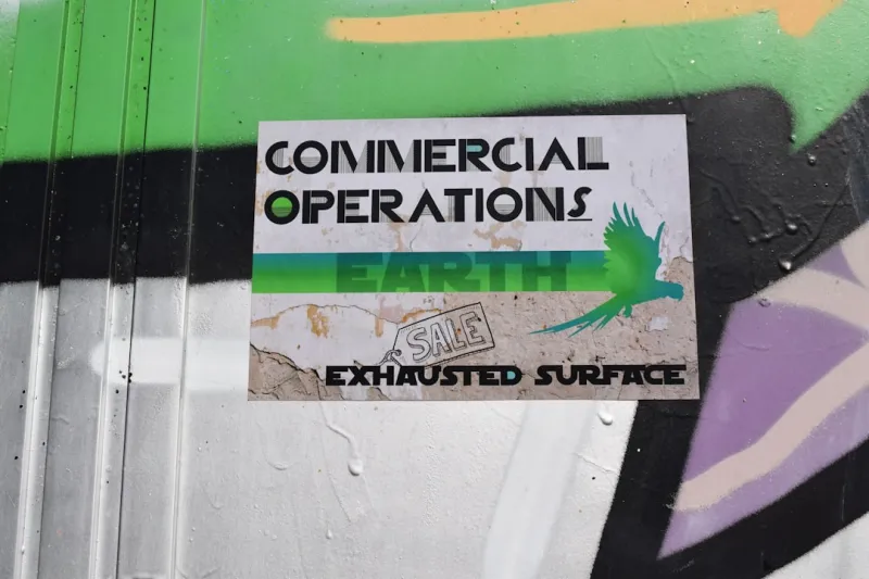 Mold Removal Mastery: Sustainable Strategies from a Veteran Contractor