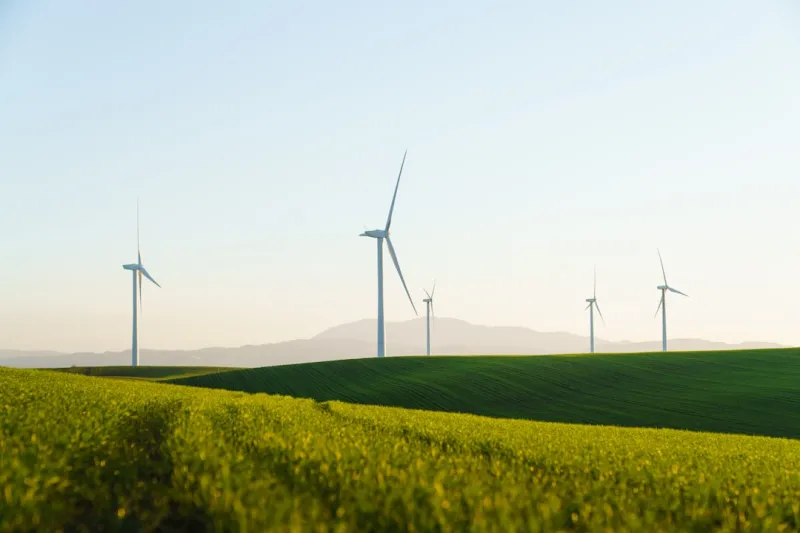The Rising Importance of Energy Inspections in Sustainable Homeownership
